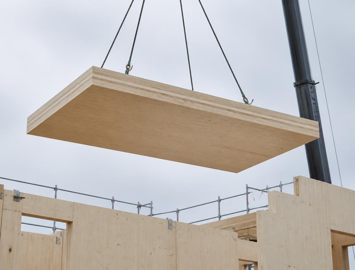 CLT Panels